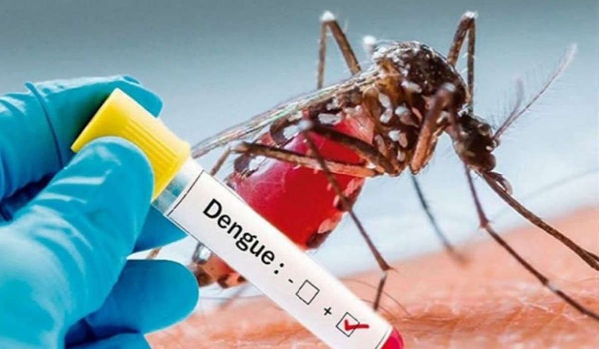 Over 4,000 dengue patients across country