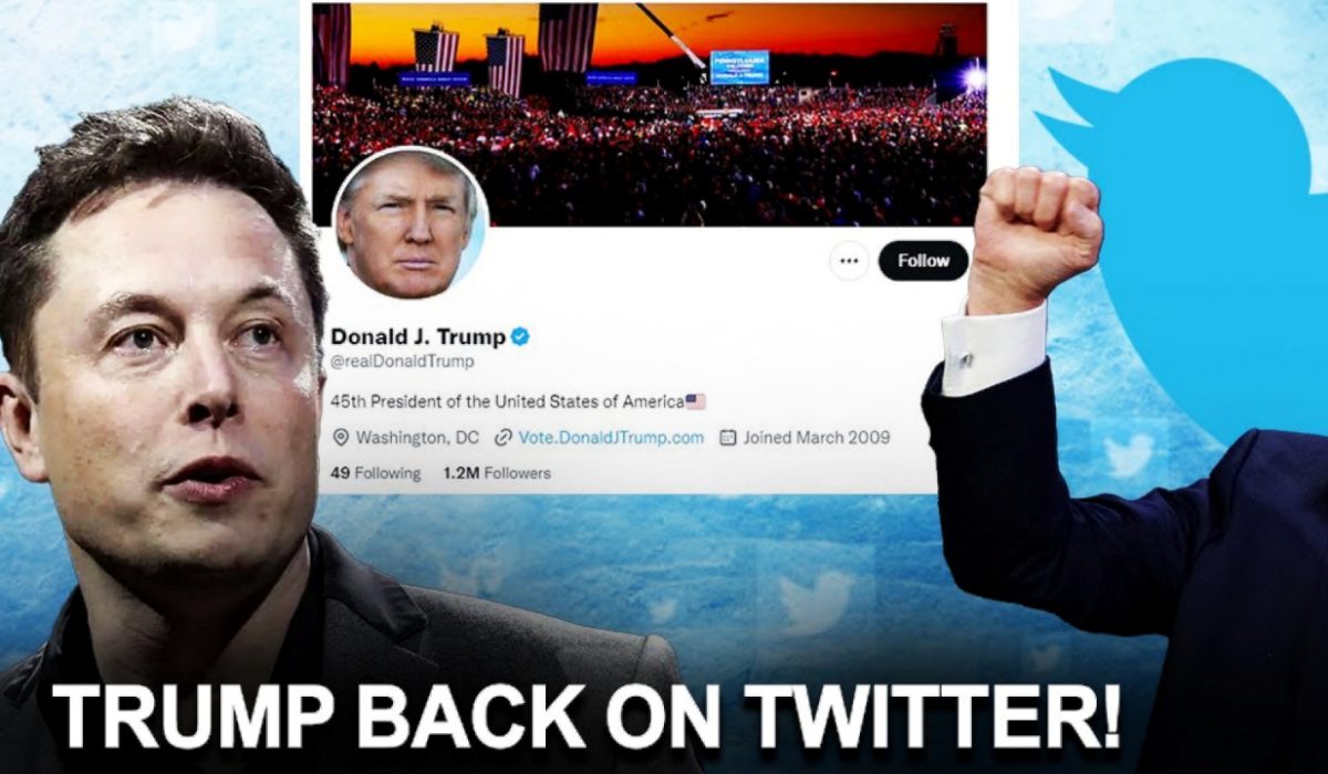 Trump back on Twitter after Musk confirms his account reinstatement