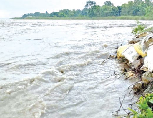 As monsoon progresses, all eyes are on Saptakoshi’s 25:25 spur